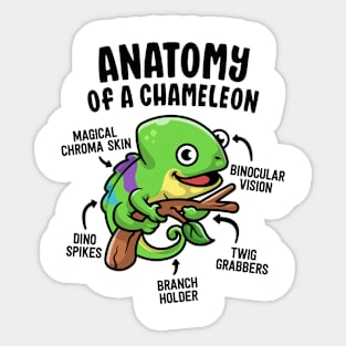 Anatomy Of A Chameleon Funny Reptile Lover Pet Lizard Sticker